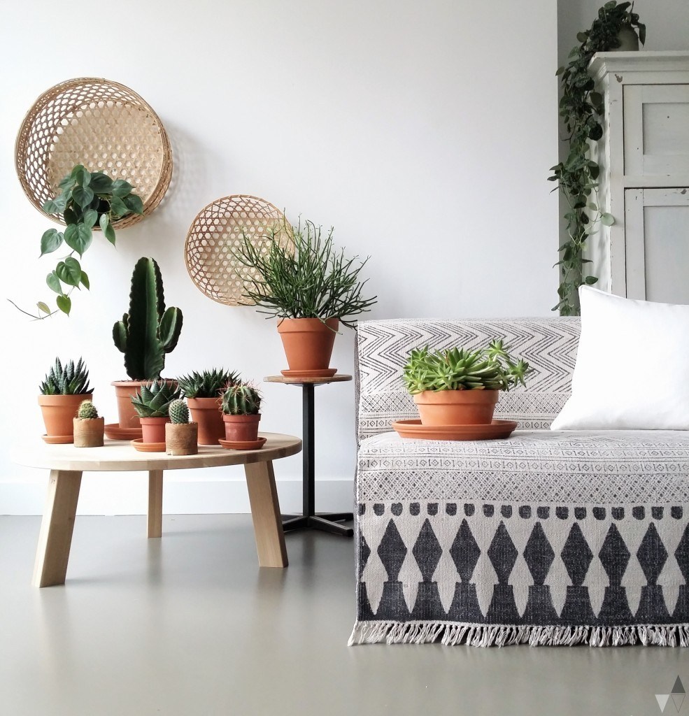 hoe creëer je jouw eigen urban jungle - Kimberly Eijkemans - interieurontwerp - interieuradvies - Brabant - Uden - Oss - Veghel