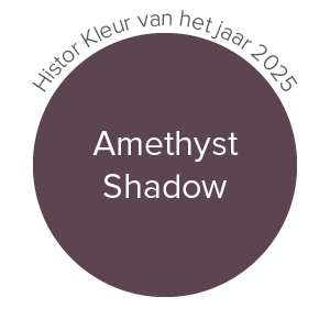 Kleur van het jaar 2025 - amethist shadow - histor